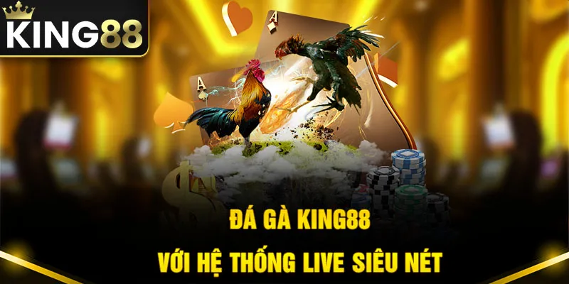 Đá gà King88 mang đến hệ thống live siêu nét