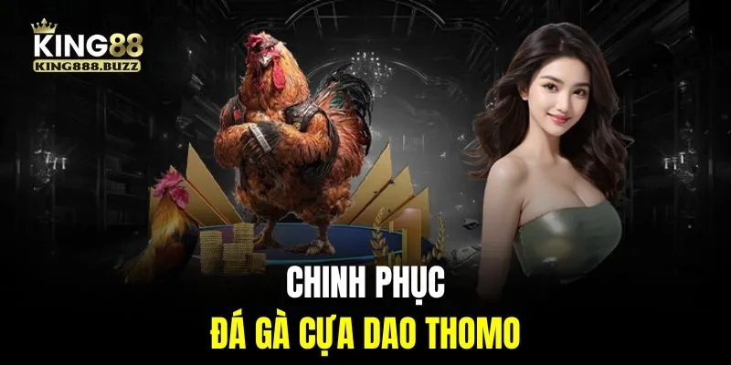 Chinh phục những trận đá gà cựa dao Thomo kịch tính