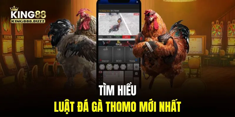 Tìm hiểu luật chọi kê Thomo mới nhất