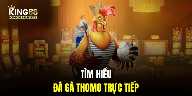 Giới thiệu hình thức đá gà Thomo đẳng cấp