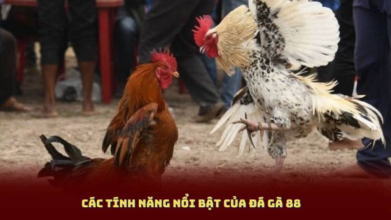 Các Tính Năng Nổi Bật Của Đá Gà 88
